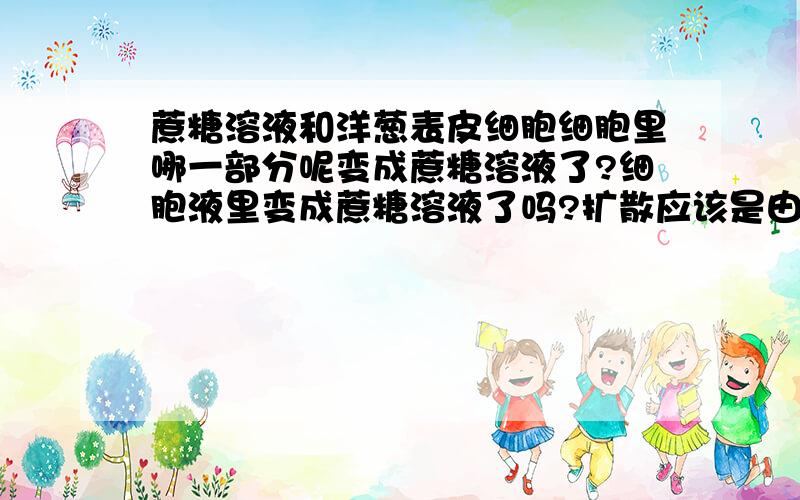 蔗糖溶液和洋葱表皮细胞细胞里哪一部分呢变成蔗糖溶液了?细胞液里变成蔗糖溶液了吗?扩散应该是由浓度高的溶液到浓度低的溶液,蔗糖浓度高,蔗糖溶液应该进入细胞,为什么细胞还会失水?