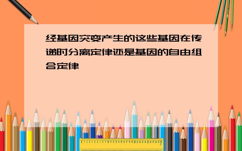 经基因突变产生的这些基因在传递时分离定律还是基因的自由组合定律