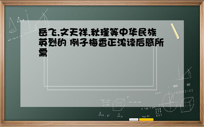 岳飞,文天祥,秋瑾等中华民族英烈的 例子梅香正浓读后感所需