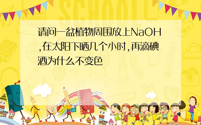 请问一盆植物周围放上NaOH,在太阳下晒几个小时,再滴碘酒为什么不变色