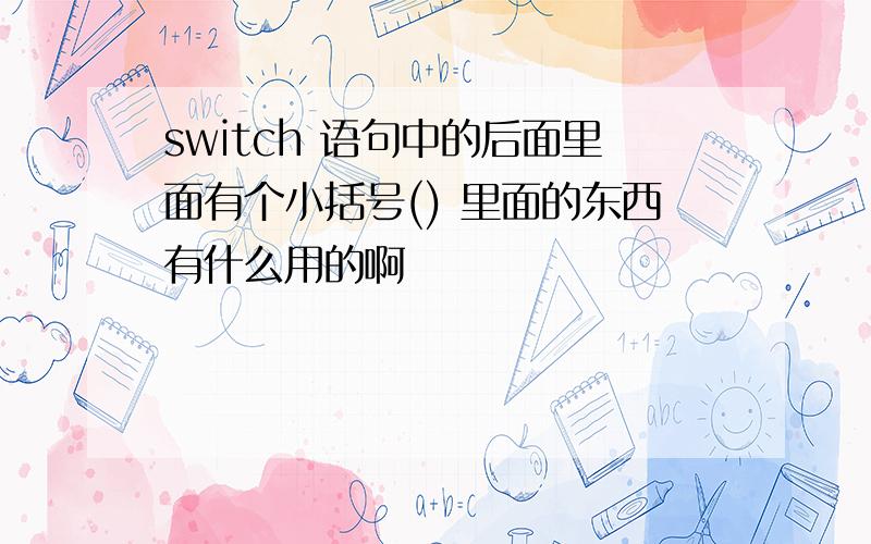 switch 语句中的后面里面有个小括号() 里面的东西有什么用的啊