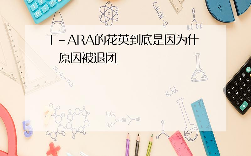 T-ARA的花英到底是因为什麼原因被退团