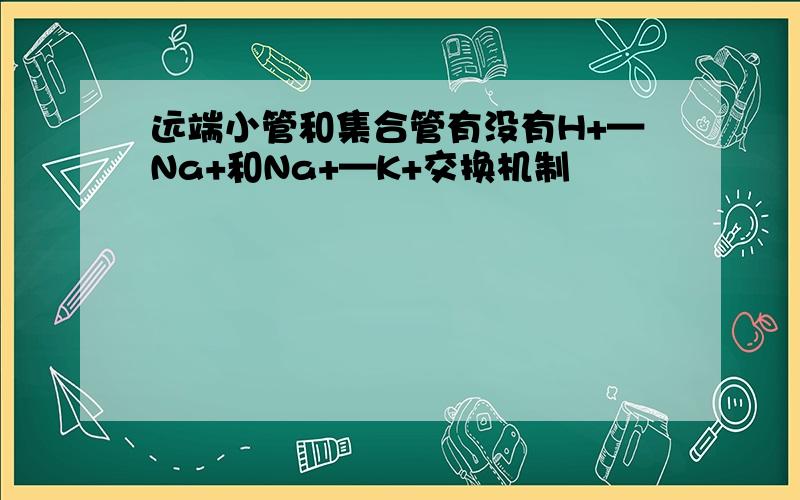 远端小管和集合管有没有H+—Na+和Na+—K+交换机制