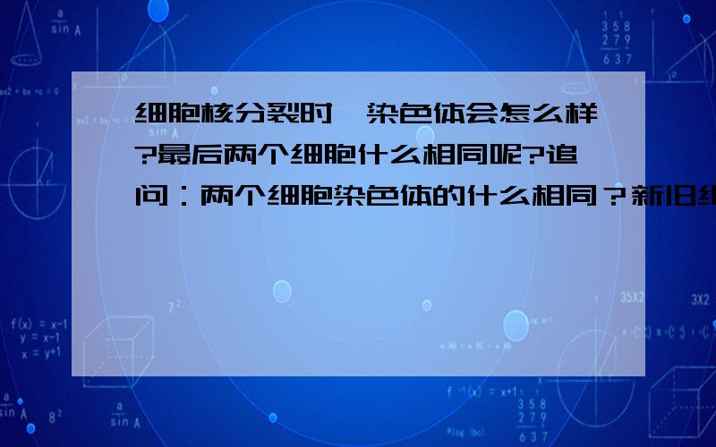 细胞核分裂时,染色体会怎么样?最后两个细胞什么相同呢?追问：两个细胞染色体的什么相同？新旧细胞染色体的什么相同？