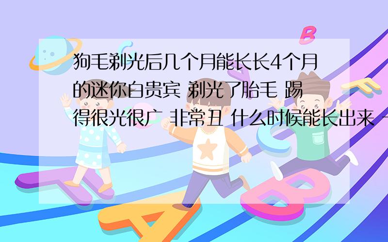 狗毛剃光后几个月能长长4个月的迷你白贵宾 剃光了胎毛 踢得很光很广 非常丑 什么时候能长出来 一个月能长2厘米吗