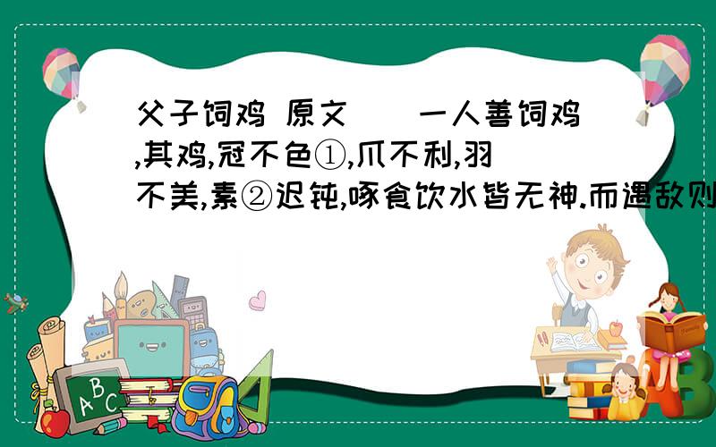 父子饲鸡 原文　　一人善饲鸡,其鸡,冠不色①,爪不利,羽不美,素②迟钝,啄食饮水皆无神.而遇敌则为雄；鸣晓亦早于他者.人誉之为“天鸡” 　　其术传于其子.然③,其逝后,其子背其父之道.