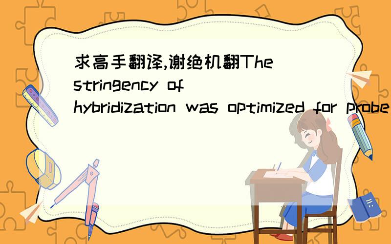 求高手翻译,谢绝机翻The stringency of hybridization was optimized for probe PsSym352 by usinghepatopancreatic symbionts as the target and Acidithiobacillus ferrooxidans as thenontarget reference organism with two mismatches.