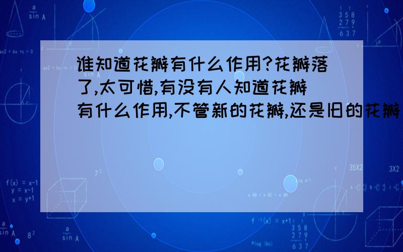 谁知道花瓣有什么作用?花瓣落了,太可惜,有没有人知道花瓣有什么作用,不管新的花瓣,还是旧的花瓣