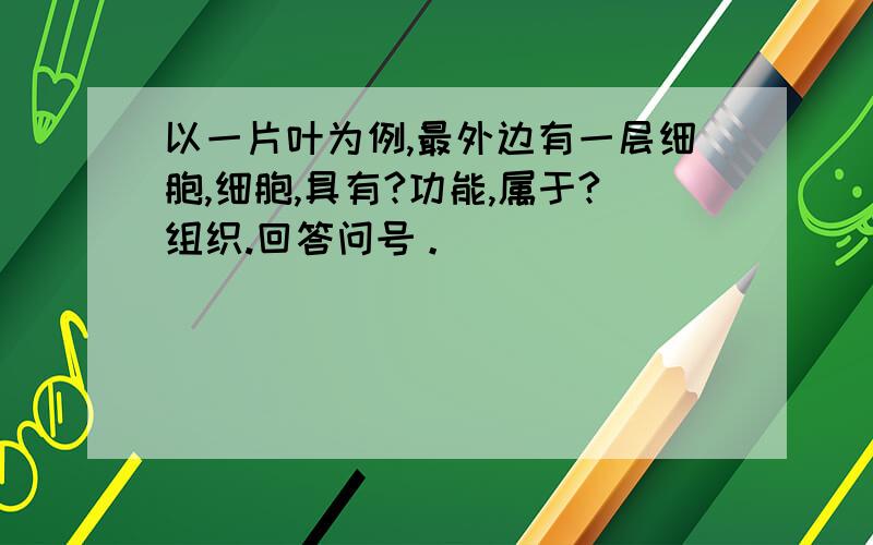 以一片叶为例,最外边有一层细胞,细胞,具有?功能,属于?组织.回答问号。