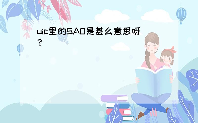 uic里的SAO是甚么意思呀?