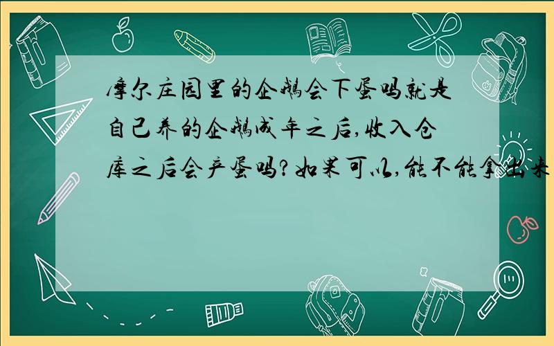 摩尔庄园里的企鹅会下蛋吗就是自己养的企鹅成年之后,收入仓库之后会产蛋吗?如果可以,能不能拿出来养?