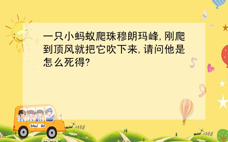 一只小蚂蚁爬珠穆朗玛峰,刚爬到顶风就把它吹下来,请问他是怎么死得?