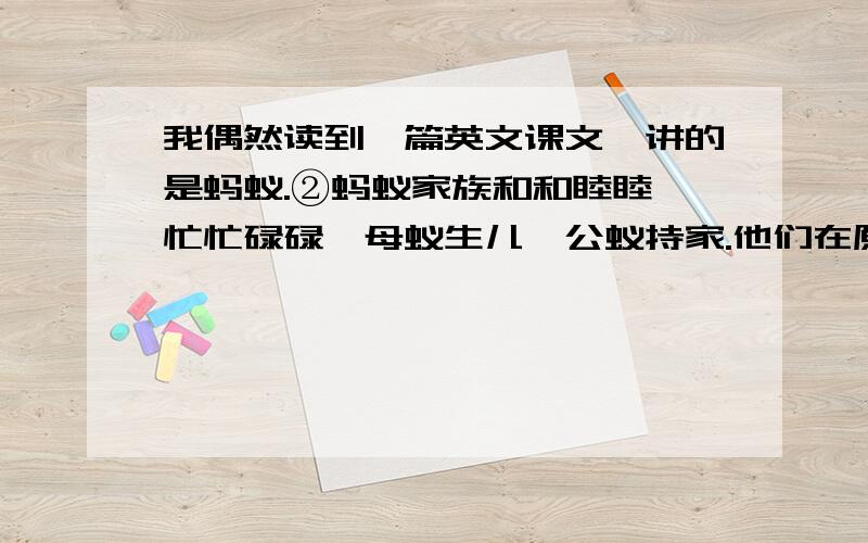 我偶然读到一篇英文课文,讲的是蚂蚁.②蚂蚁家族和和睦睦,忙忙碌碌,母蚁生儿,公蚁持家.他们在原野我偶然读到一篇英文课文,讲的是蚂蚁.②蚂蚁家族和和睦睦,忙忙碌碌,母蚁生儿,公蚁持家.