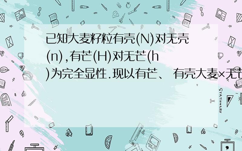 已知大麦籽粒有壳(N)对无壳(n),有芒(H)对无芒(h)为完全显性.现以有芒、 有壳大麦×无芒、无壳大麦,所得子代有1／2为有芒有壳,1／2为无芒有壳,则亲本有芒有壳的基因型必为：（ ）A、NnHh B、Nn