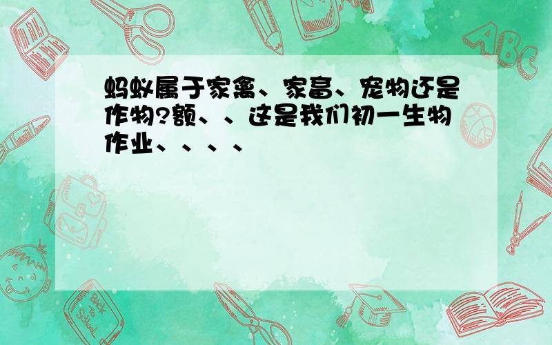 蚂蚁属于家禽、家畜、宠物还是作物?额、、这是我们初一生物作业、、、、