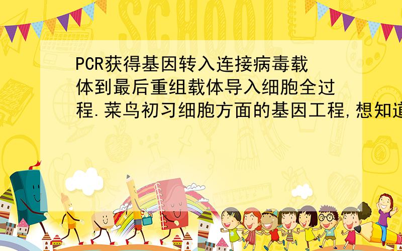 PCR获得基因转入连接病毒载体到最后重组载体导入细胞全过程.菜鸟初习细胞方面的基因工程,想知道PCR目的基因连接病毒载体后,病毒为什么还要包装,包装的目的是什么?而包装后的病毒为什