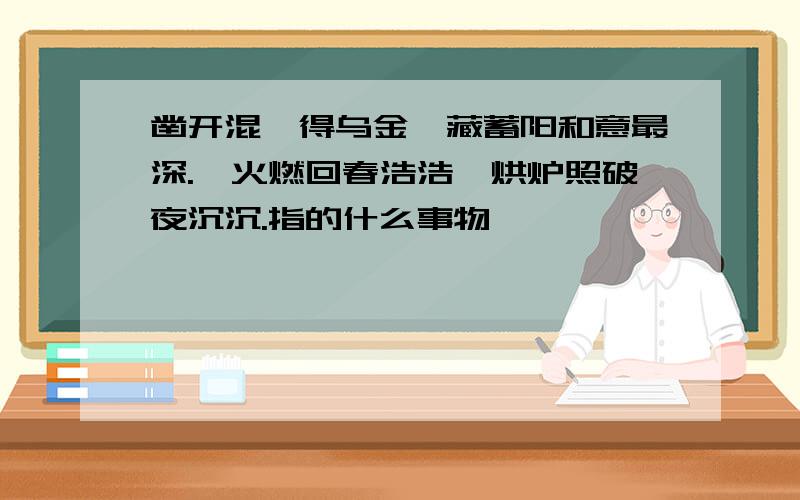 凿开混沌得乌金,藏蓄阳和意最深.爝火燃回春浩浩,烘炉照破夜沉沉.指的什么事物