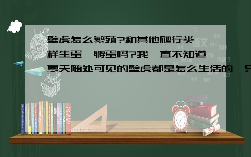 壁虎怎么繁殖?和其他爬行类一样生蛋、孵蛋吗?我一直不知道夏天随处可见的壁虎都是怎么生活的,只知道它们吃昆虫.如此而已