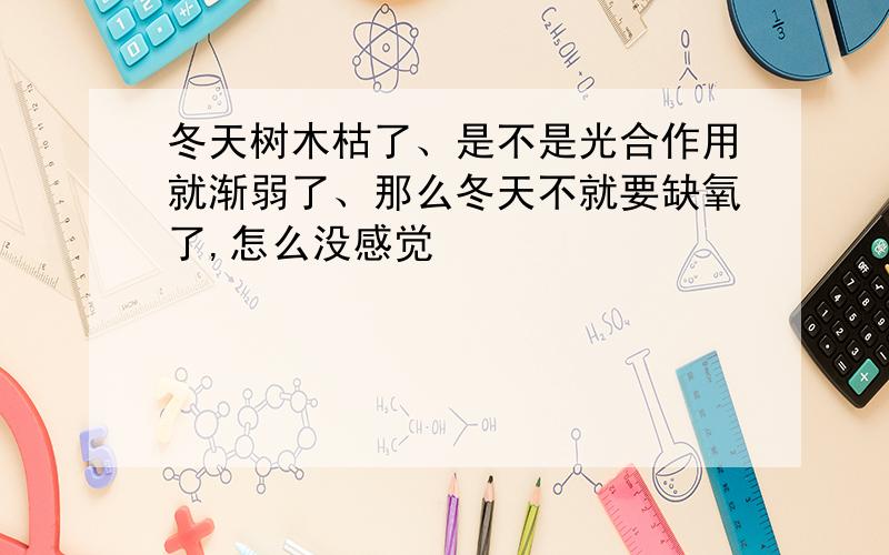 冬天树木枯了、是不是光合作用就渐弱了、那么冬天不就要缺氧了,怎么没感觉