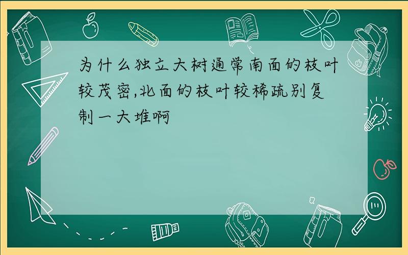 为什么独立大树通常南面的枝叶较茂密,北面的枝叶较稀疏别复制一大堆啊