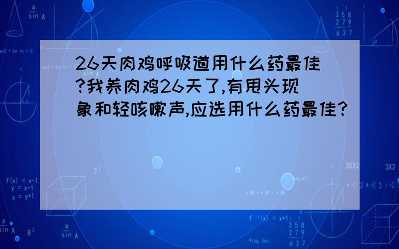 26天肉鸡呼吸道用什么药最佳?我养肉鸡26天了,有甩头现象和轻咳嗽声,应选用什么药最佳?