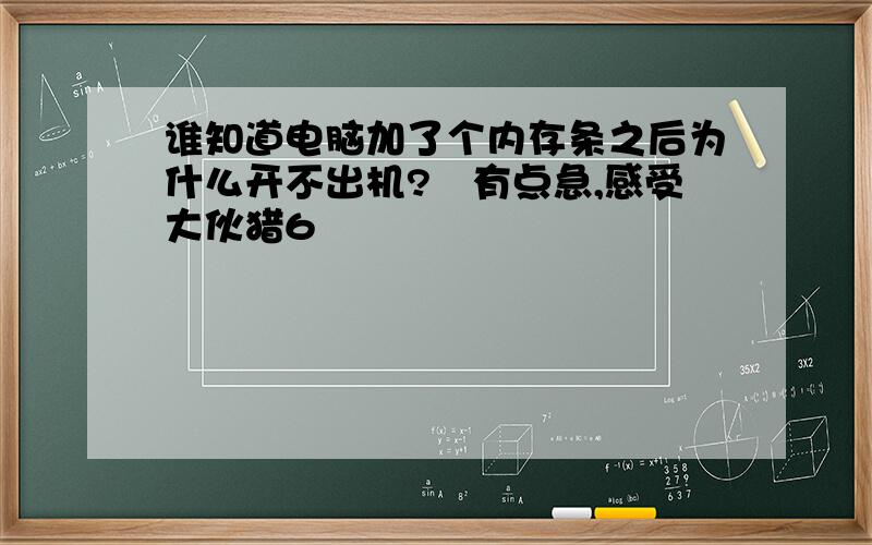 谁知道电脑加了个内存条之后为什么开不出机?　有点急,感受大伙猎6