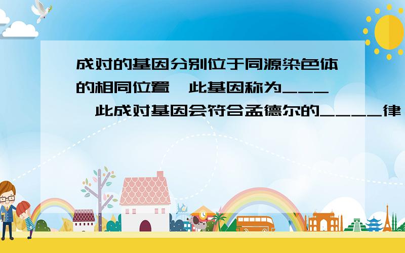 成对的基因分别位于同源染色体的相同位置,此基因称为___,此成对基因会符合孟德尔的____律