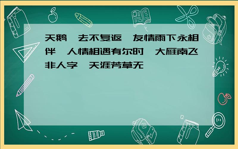 天鹅一去不复返,友情雨下永相伴,人情相遇有尔时,大雁南飞非人字,天涯芳草无一