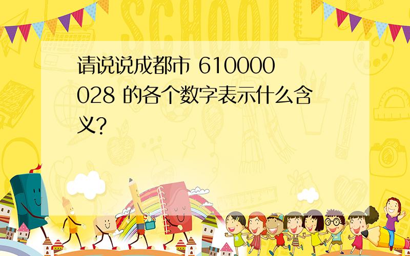 请说说成都市 610000 028 的各个数字表示什么含义?