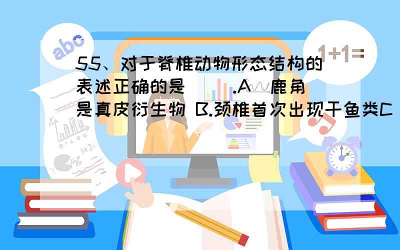 55、对于脊椎动物形态结构的表述正确的是( ).A．鹿角是真皮衍生物 B.颈椎首次出现干鱼类C．两栖类开始出55、对于脊椎动物形态结构的表述正确的是( ).A．鹿角是真皮衍生物 B.颈椎首次出现