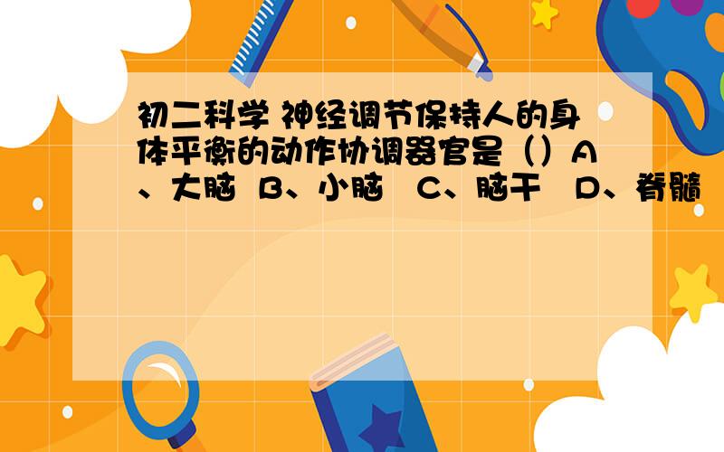 初二科学 神经调节保持人的身体平衡的动作协调器官是（）A、大脑  B、小脑   C、脑干   D、脊髓