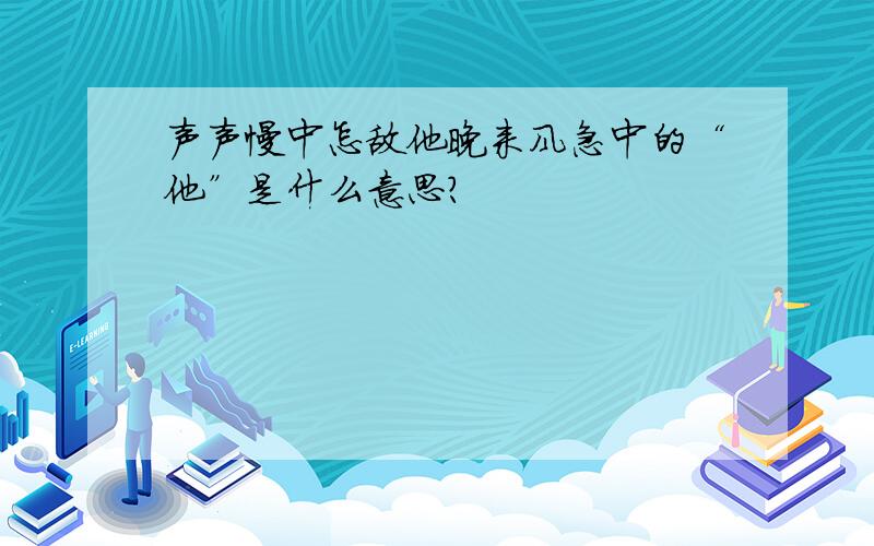 声声慢中怎敌他晚来风急中的“他”是什么意思?