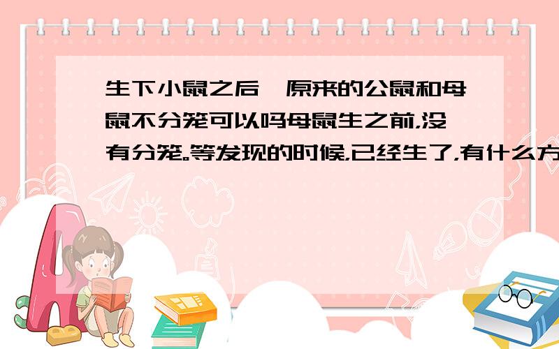 生下小鼠之后,原来的公鼠和母鼠不分笼可以吗母鼠生之前，没有分笼。等发现的时候，已经生了，有什么方法补救吗？