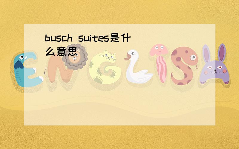 busch suites是什么意思