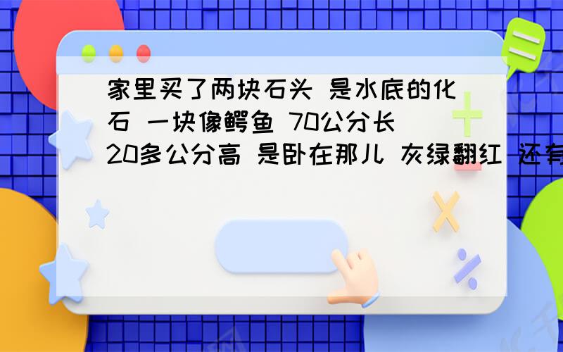 家里买了两块石头 是水底的化石 一块像鳄鱼 70公分长 20多公分高 是卧在那儿 灰绿翻红 还有一块是立在那还有一块儿立在那儿 高80多 宽40左右  海底的 虫子贝壳等图案 是自然形成的化石 应