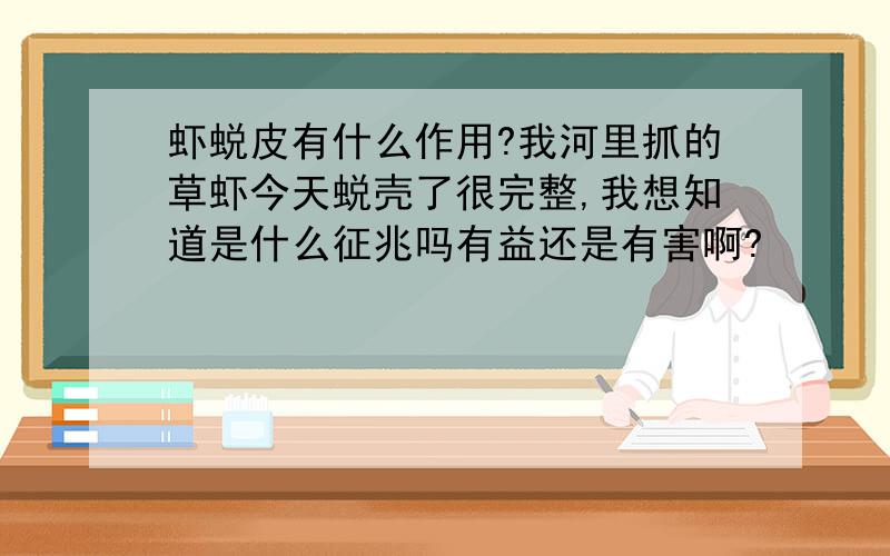 虾蜕皮有什么作用?我河里抓的草虾今天蜕壳了很完整,我想知道是什么征兆吗有益还是有害啊?