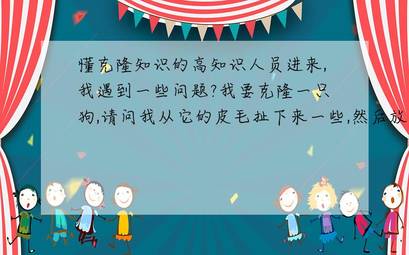 懂克隆知识的高知识人员进来,我遇到一些问题?我要克隆一只狗,请问我从它的皮毛扯下来一些,然后放入了不透光的密封盒子里,请问我想低温保存,大概想保存8年到10年,以后在进行克隆实验.