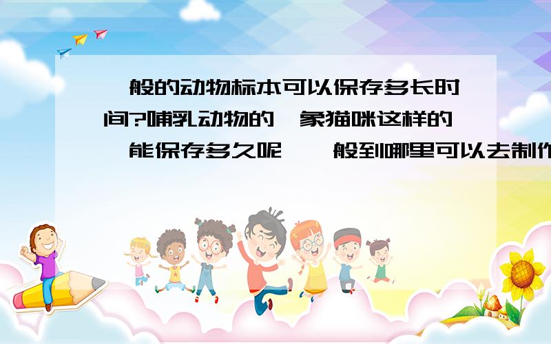 一般的动物标本可以保存多长时间?哺乳动物的,象猫咪这样的,能保存多久呢,一般到哪里可以去制作呢,大概价格是多少,有懂的朋友帮忙解答下,我在北京,北京有什么地方可以帮忙制作动物标