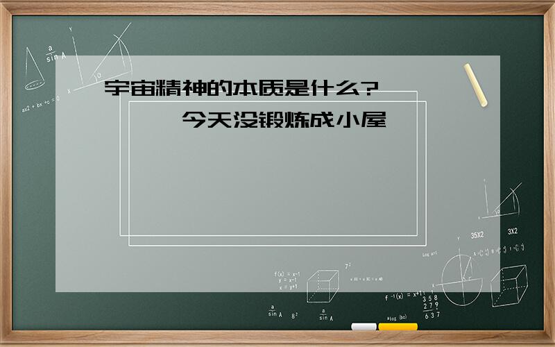 宇宙精神的本质是什么?——————今天没锻炼成小屋