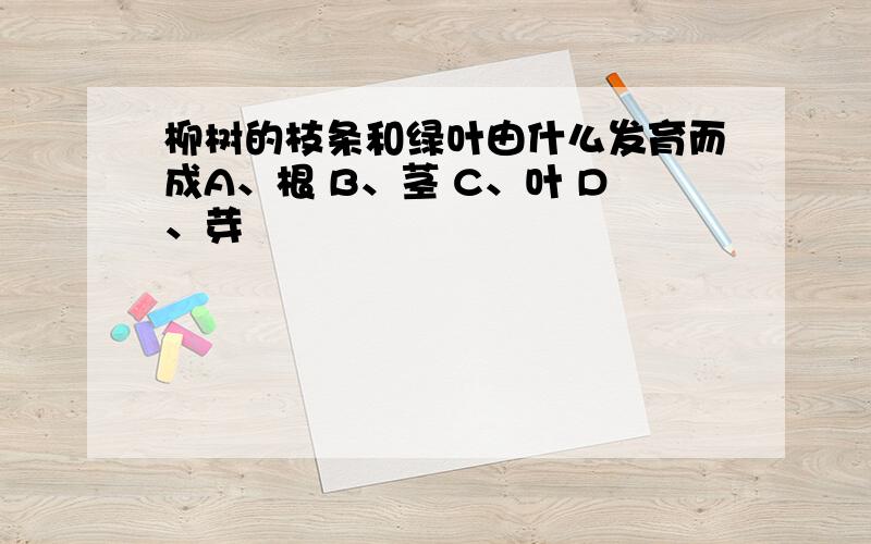 柳树的枝条和绿叶由什么发育而成A、根 B、茎 C、叶 D、芽