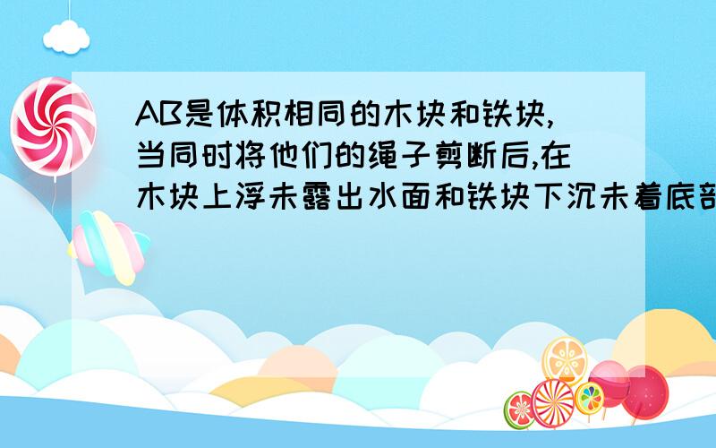 AB是体积相同的木块和铁块,当同时将他们的绳子剪断后,在木块上浮未露出水面和铁块下沉未着底部的过程中正确的是 A木块所受的浮力增大,铁块所受浮力减小B木块所受的浮力减小,铁块所受