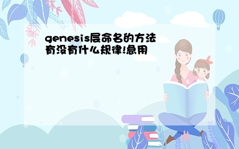 genesis层命名的方法 有没有什么规律!急用