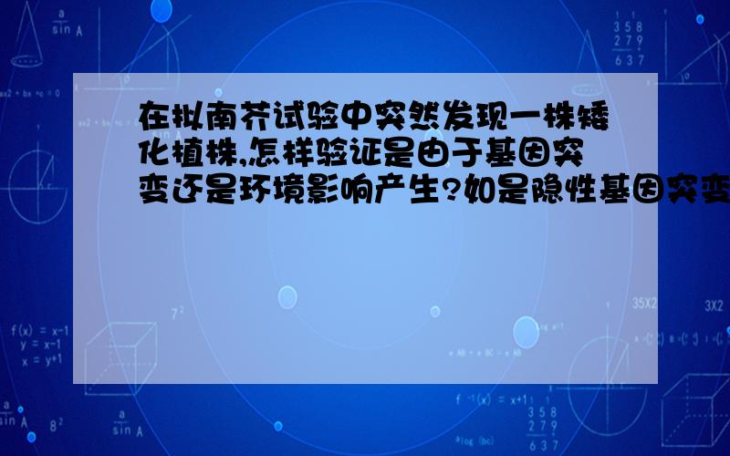 在拟南芥试验中突然发现一株矮化植株,怎样验证是由于基因突变还是环境影响产生?如是隐性基因突变,请你设计对该基因进行遗传分析（定位,克隆及其功能分析）的具体实验过程及其关键点