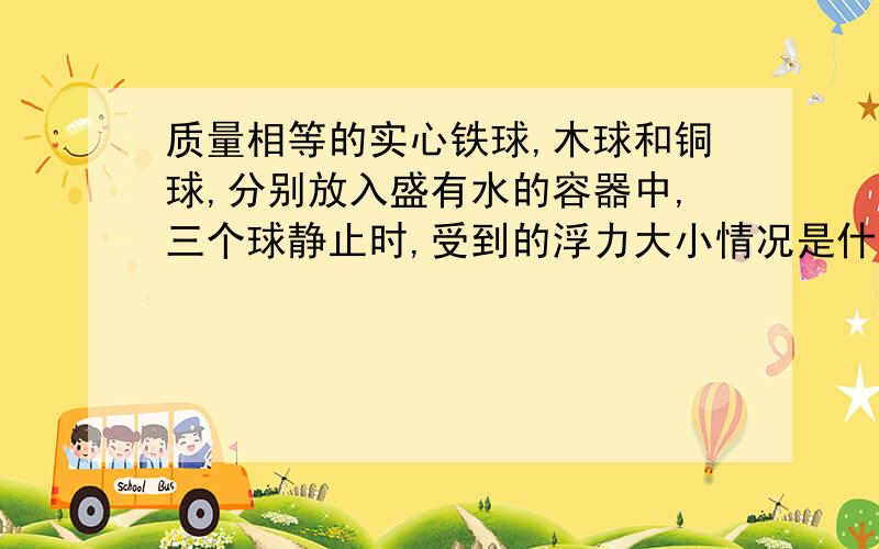 质量相等的实心铁球,木球和铜球,分别放入盛有水的容器中,三个球静止时,受到的浮力大小情况是什么?质量相等的实心铁球,木球和铜球,分别放入盛有水的容器中（水足够多）,三个球静止时,