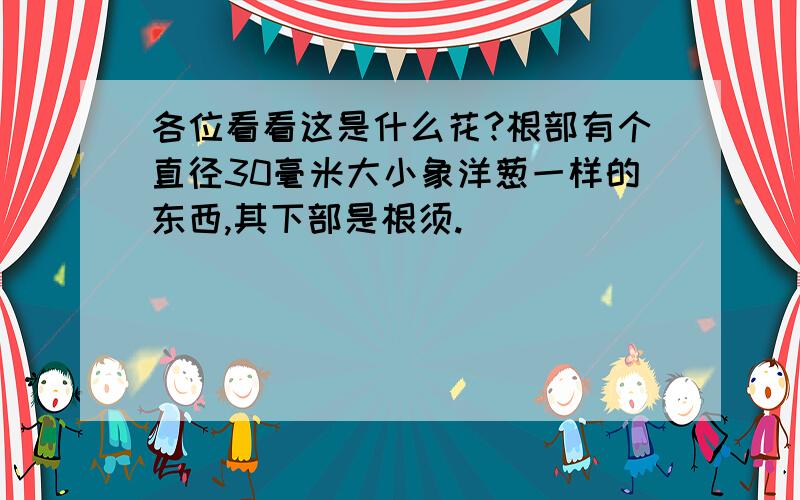 各位看看这是什么花?根部有个直径30毫米大小象洋葱一样的东西,其下部是根须.