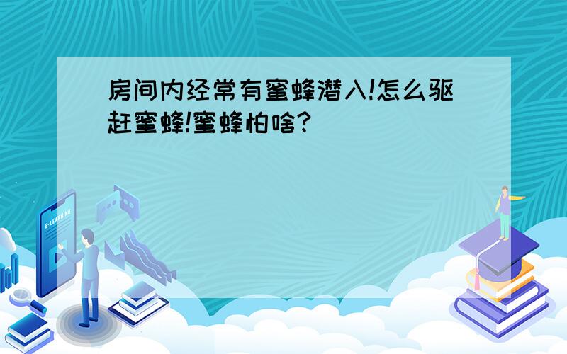 房间内经常有蜜蜂潜入!怎么驱赶蜜蜂!蜜蜂怕啥?