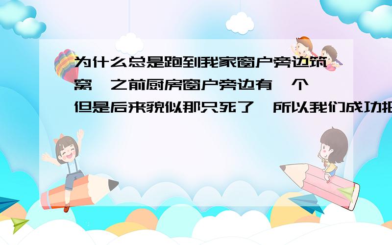 为什么总是跑到我家窗户旁边筑窝,之前厨房窗户旁边有一个,但是后来貌似那只死了,所以我们成功把那个摘掉了.这次是在客厅窗户旁边,我都不敢开窗了,每天看着它们,我都在惆怅,该怎么办?