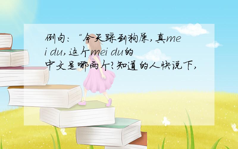 例句：“今天踩到狗屎,真mei du,这个mei du的中文是哪两个?知道的人快说下,