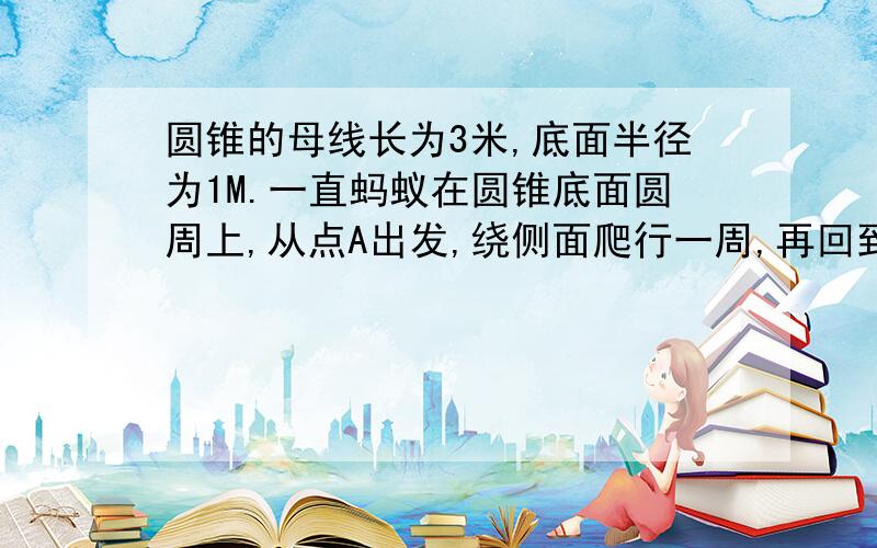 圆锥的母线长为3米,底面半径为1M.一直蚂蚁在圆锥底面圆周上,从点A出发,绕侧面爬行一周,再回到点A,请计算蚂蚁爬行路线长是多少?圆锥底面圆周上任意一点（有图,但不用图能看懂把）绕侧面