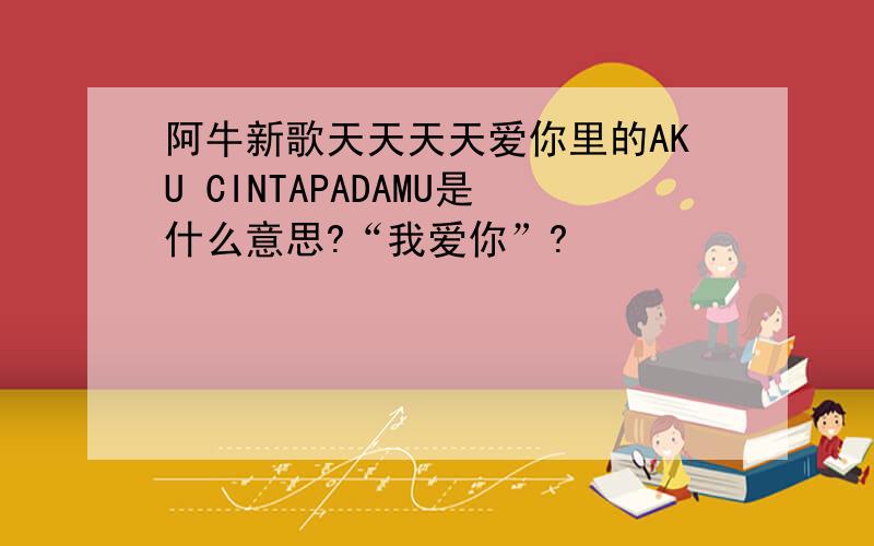 阿牛新歌天天天天爱你里的AKU CINTAPADAMU是什么意思?“我爱你”?